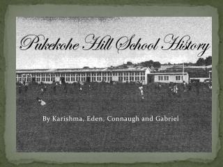 Pukekohe Hill School History