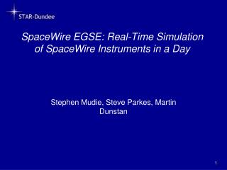 SpaceWire EGSE: Real-Time Simulation of SpaceWire Instruments in a Day