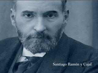Hijo de Don Justo Ramón (gran médico) y Antonia Cajal