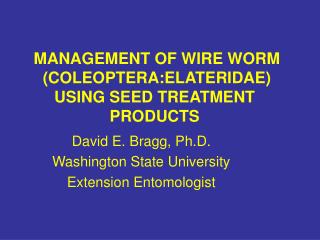 MANAGEMENT OF WIRE WORM (COLEOPTERA:ELATERIDAE) USING SEED TREATMENT PRODUCTS