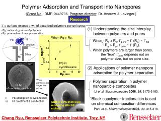 Polymer Adsorption and Transport into Nanopores