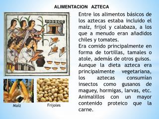 ALIMENTACION AZTECA