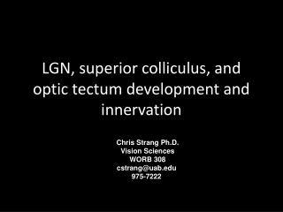 LGN, superior colliculus, and optic tectum development and innervation