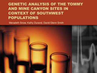 GENETIC ANALYSIS OF THE TOMMY AND MINE CANYON SITES IN CONTEXT OF SOUTHWEST POPULATIONS