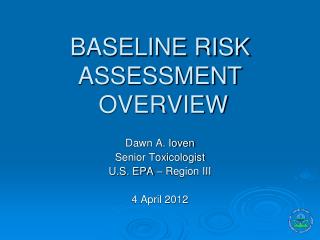 BASELINE RISK ASSESSMENT OVERVIEW