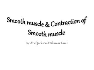 Smooth muscle &amp; Contraction of Smooth muscle