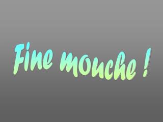 Fine mouche !