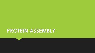 PROTEIN ASSEMBLY