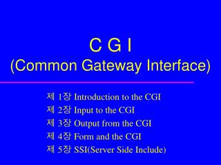 C G I (Common Gateway Interface)