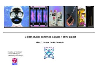 Bioloch studies performed in phase 1 of the project