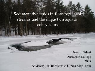 Sediment dynamics in flow-regulated streams and the impact on aquatic ecosystems