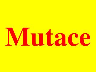 Mutace