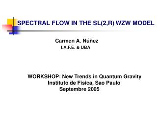 SPECTRAL FLOW IN THE SL(2,R) WZW MODEL