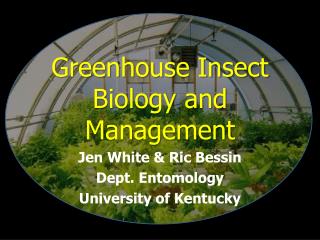 Greenhouse Insect Biology and Management