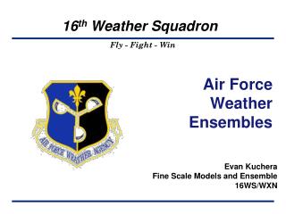 Air Force Weather Ensembles