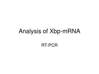 Analysis of Xbp-mRNA