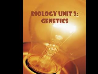 Biology Unit 3: Genetics