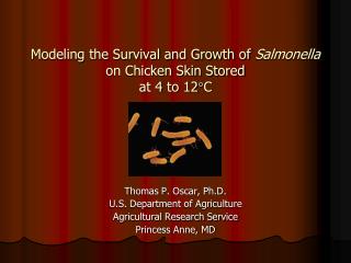 Modeling the Survival and Growth of Salmonella on Chicken Skin Stored at 4 to 12 C