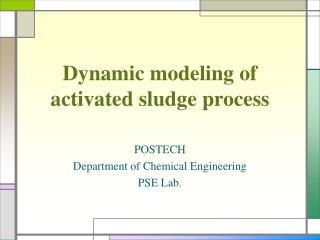 Dynamic modeling of activated sludge process