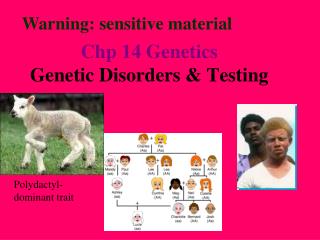 Chp 14 Genetics Genetic Disorders &amp; Testing