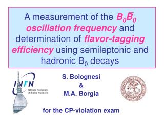 S. Bolognesi &amp; M.A. Borgia for the CP-violation exam