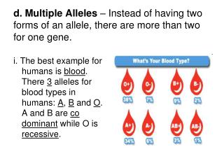 Multiple Alleles – Blood Type