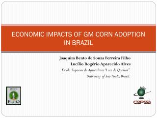 ECONOMIC IMPACTS OF GM CORN ADOPTION IN BRAZIL