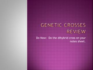 Genetic Crosses Review