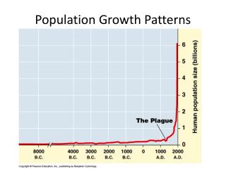 Population Growth Patterns