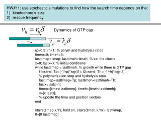HW#11: use stochastic simulations to find how the search time depends on the: kinetochore’s size