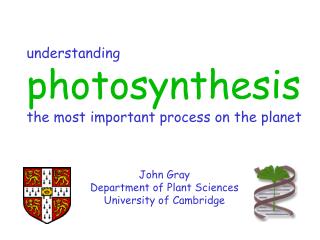 understanding photosynthesis the most important process on the planet