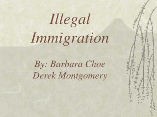 Illegal Immigration By: Barbara Choe Derek Montgomery
