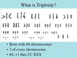 What is Triploidy?