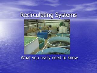 Recirculating Systems