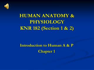 HUMAN ANATOMY &amp; PHYSIOLOGY KNR 182 (Section 1 &amp; 2)