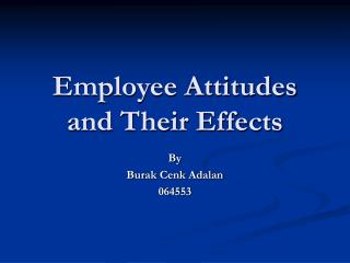 Employee Attitudes and Their Effects