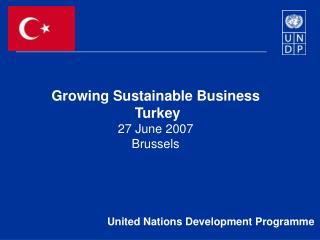 Growing Sustainable Business Turkey 27 June 2007 Brussels