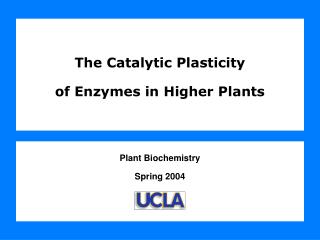 The Catalytic Plasticity of Enzymes in Higher Plants