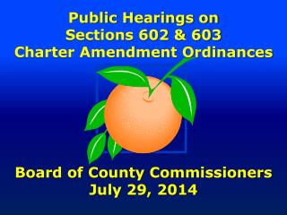Public Hearings on Sections 602 &amp; 603 Charter Amendment Ordinances Board of County Commissioners