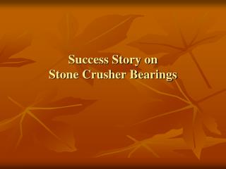 Success Story on Stone Crusher Bearings
