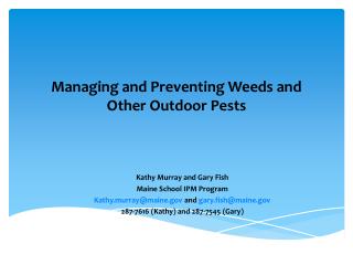 Managing and Preventing Weeds and Other Outdoor Pests