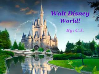 Walt Disney World !