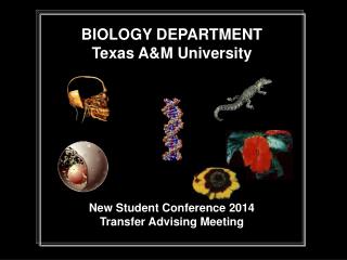 BIOLOGY DEPARTMENT Texas A&amp;M University New Student Conference 2014 Transfer Advising Meeting
