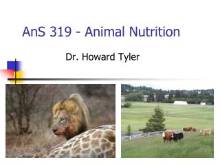 AnS 319 - Animal Nutrition