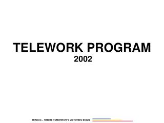 TELEWORK PROGRAM 2002