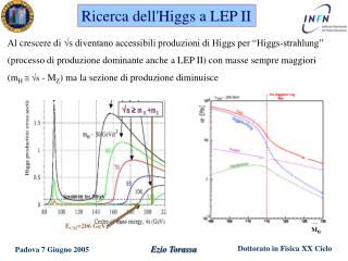 Ricerca dell'Higgs a LEP II