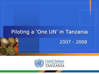 Piloting a ‘One UN’ in Tanzania