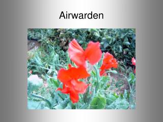 Airwarden