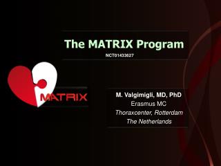 The MATRIX Program
