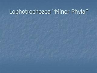 Lophotrochozoa “Minor Phyla”